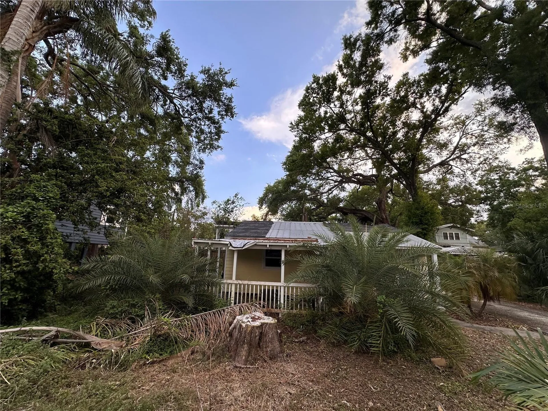 39 Hamilton Heath Drive Tampa FL 33604