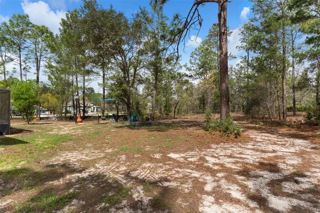 46 Fringetree Street Homosassa FL 34446