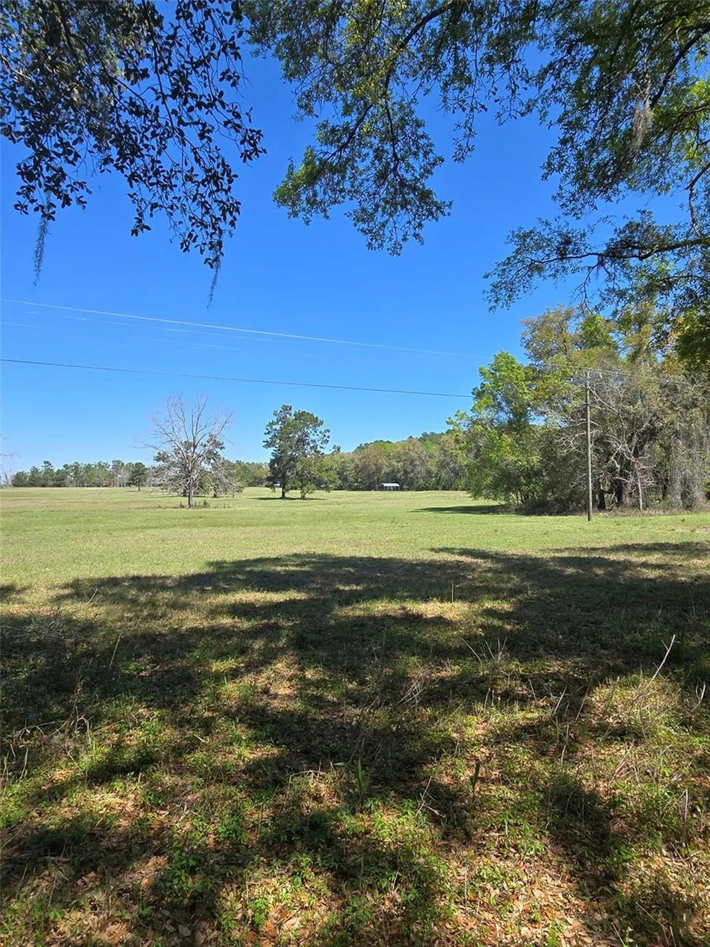 Tdb (LOT 1) 55th Place Mc Alpin FL 32062