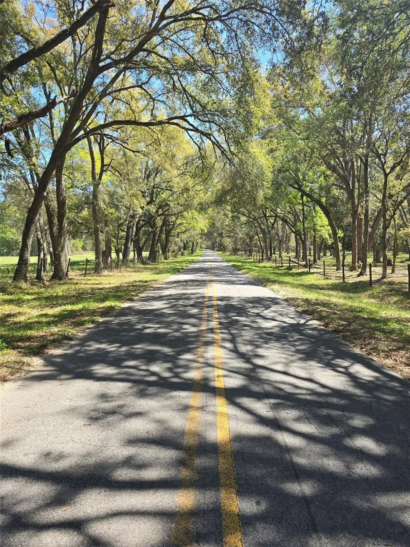 Tdb (LOT 1) 55th Place Mc Alpin FL 32062