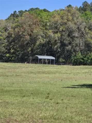 Tdb (LOT 1) 55th Place Mc Alpin FL 32062