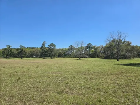 Tdb (LOT 1) 55th Place Mc Alpin FL 32062
