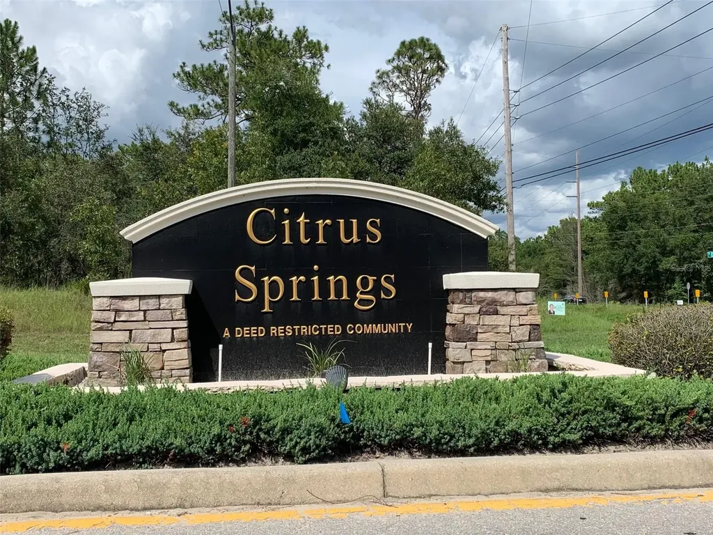 1111 W Cairo Drive Citrus Springs FL 34434