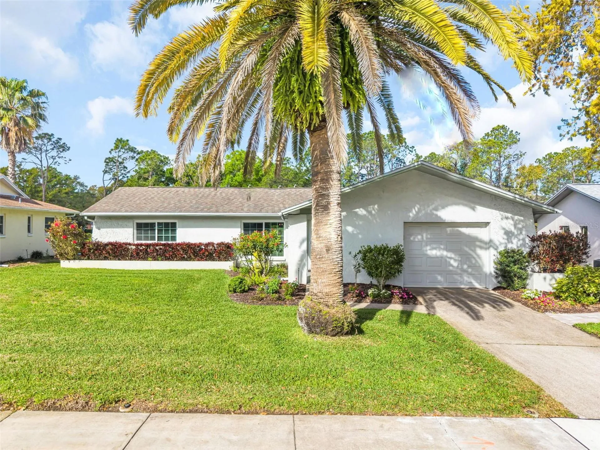 2869 Doone Circle Palm Harbor FL 34684