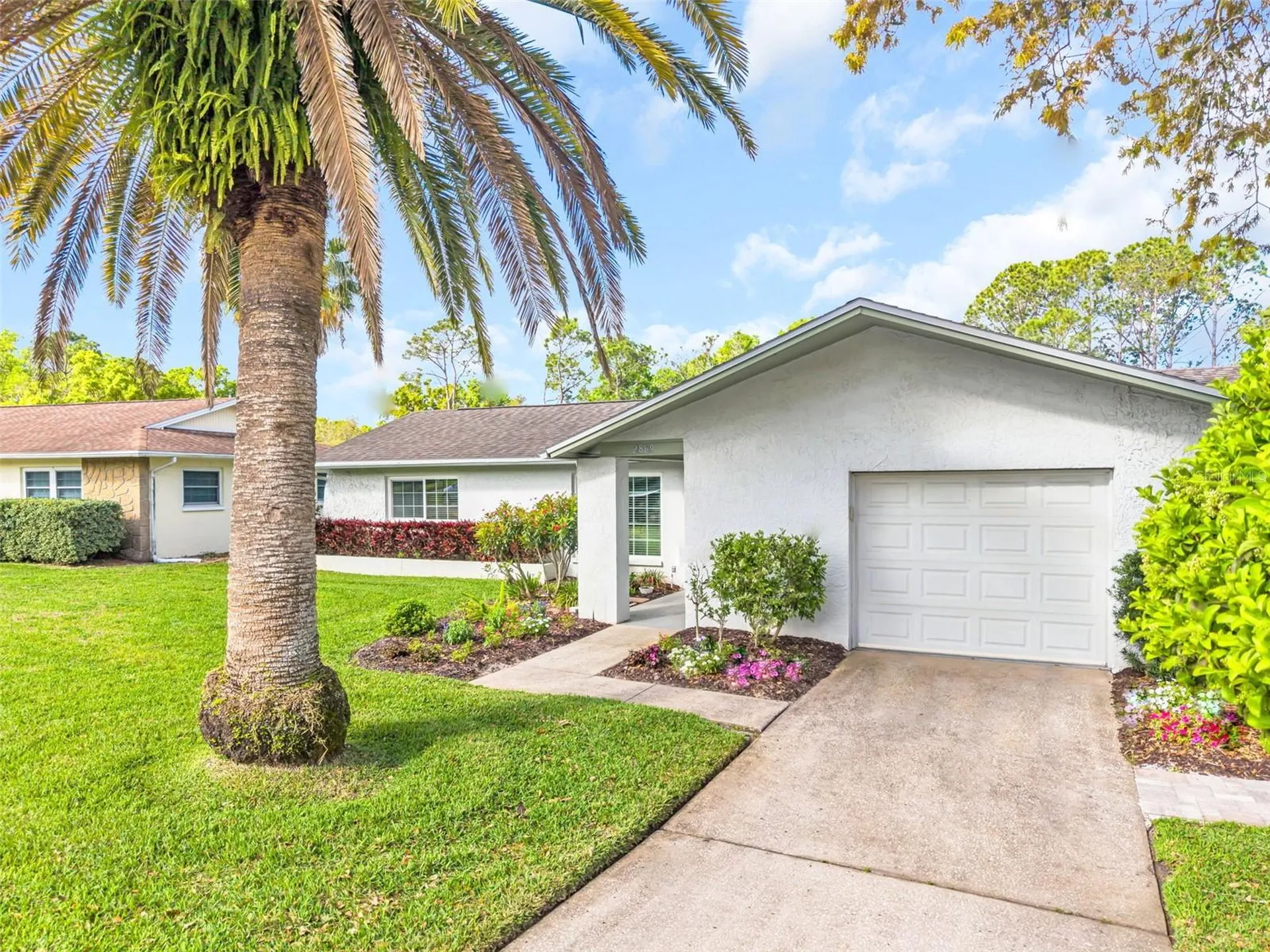 2869 Doone Circle Palm Harbor FL 34684