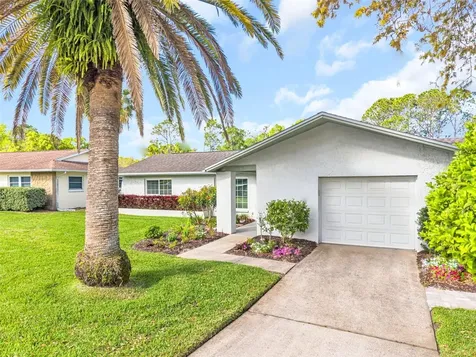 2869 Doone Circle Palm Harbor FL 34684