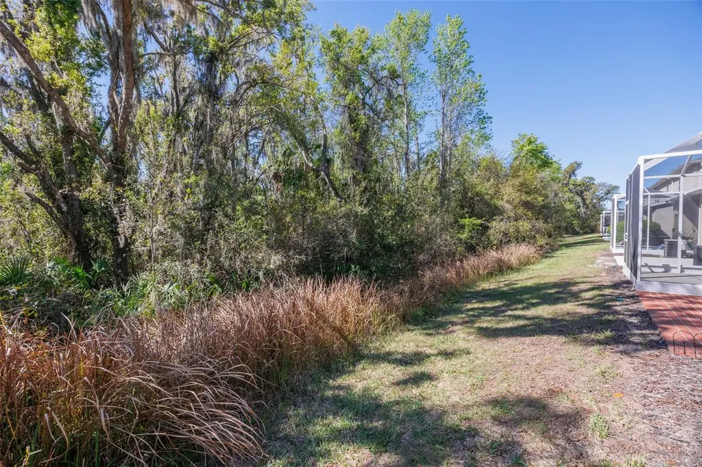 15843 Fishhawk View Drive Lithia FL 33547