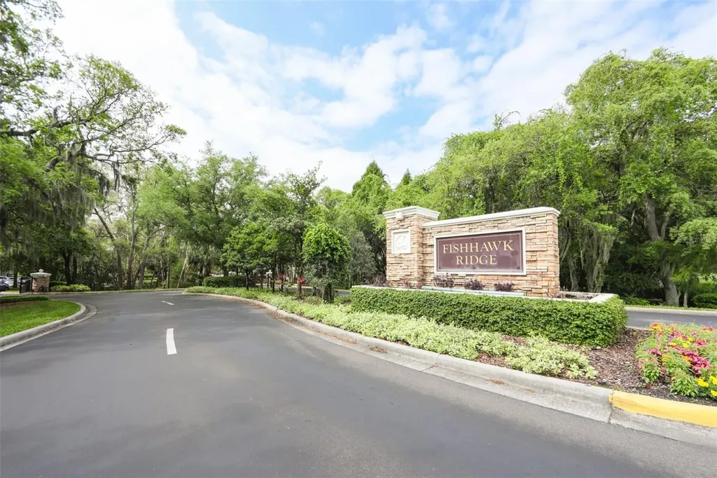 15843 Fishhawk View Drive Lithia FL 33547