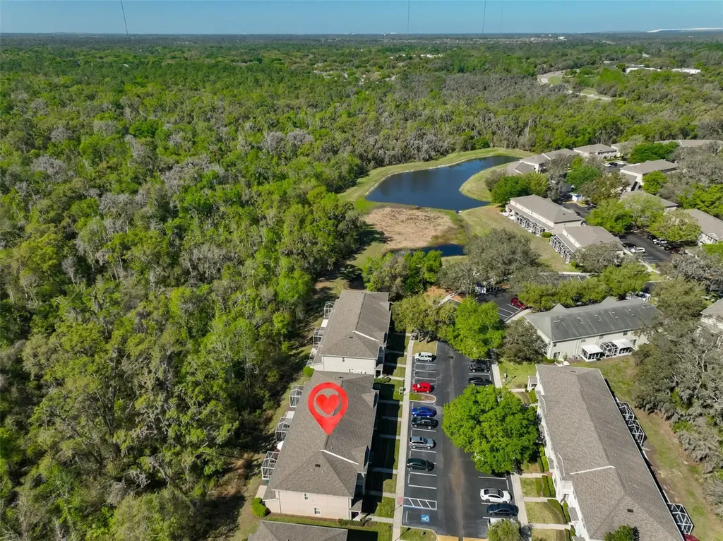 15843 Fishhawk View Drive Lithia FL 33547