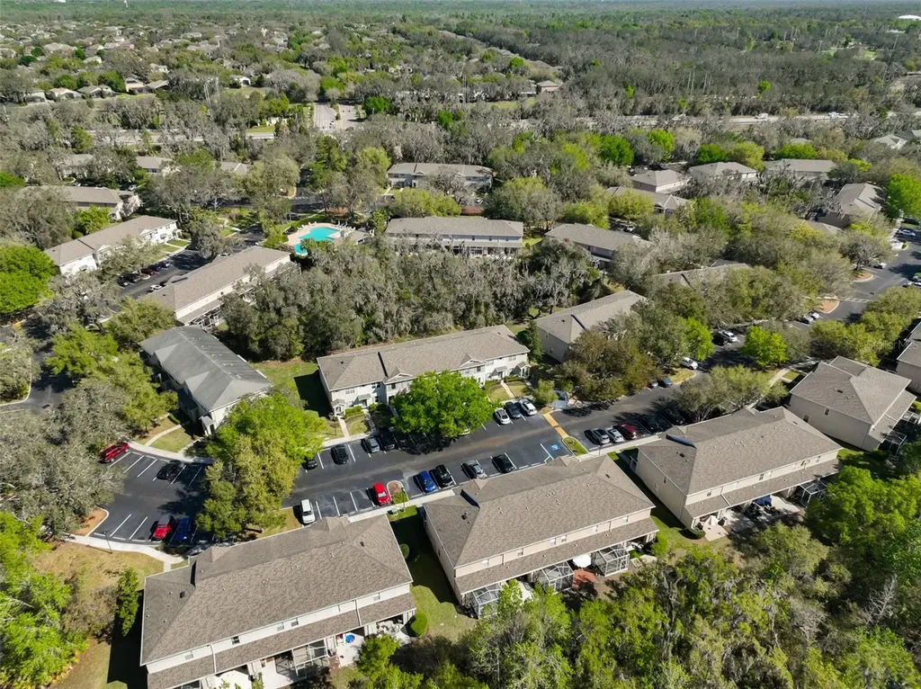 15843 Fishhawk View Drive Lithia FL 33547