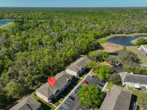 15843 Fishhawk View Drive Lithia FL 33547