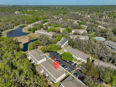 15843 Fishhawk View Drive Lithia FL 33547