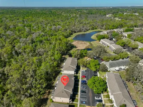 15843 Fishhawk View Drive Lithia FL 33547