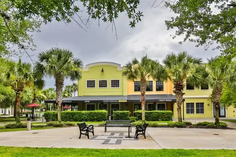 15843 Fishhawk View Drive Lithia FL 33547