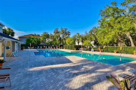 15843 Fishhawk View Drive Lithia FL 33547
