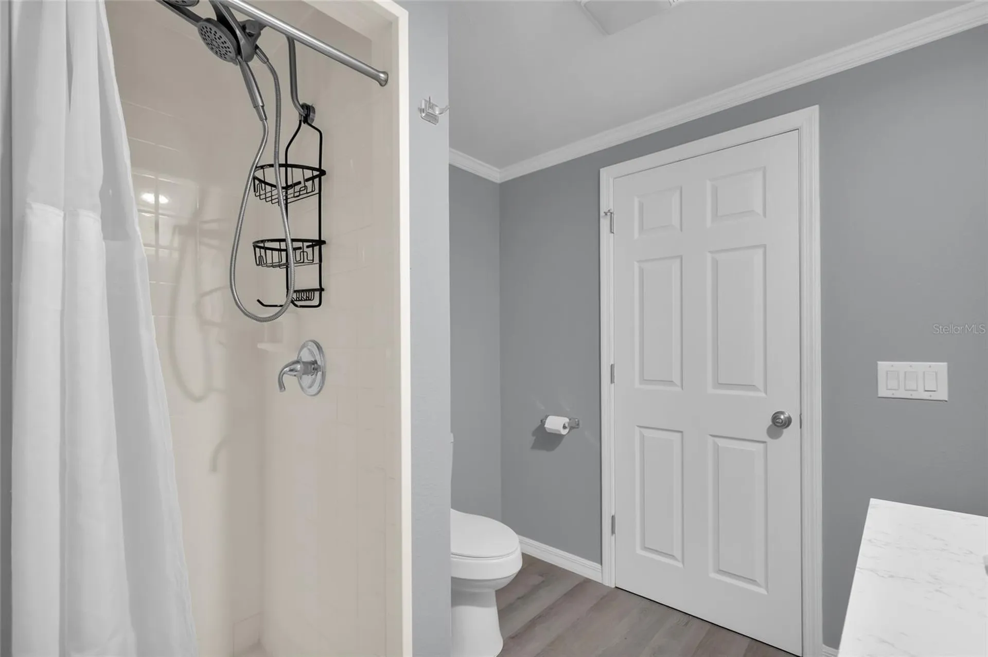 100 Papaya Cove Leesburg FL 34748