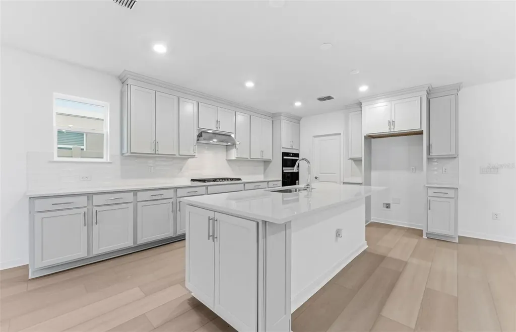 33426 Barnebrook Drive Wesley Chapel FL 33545