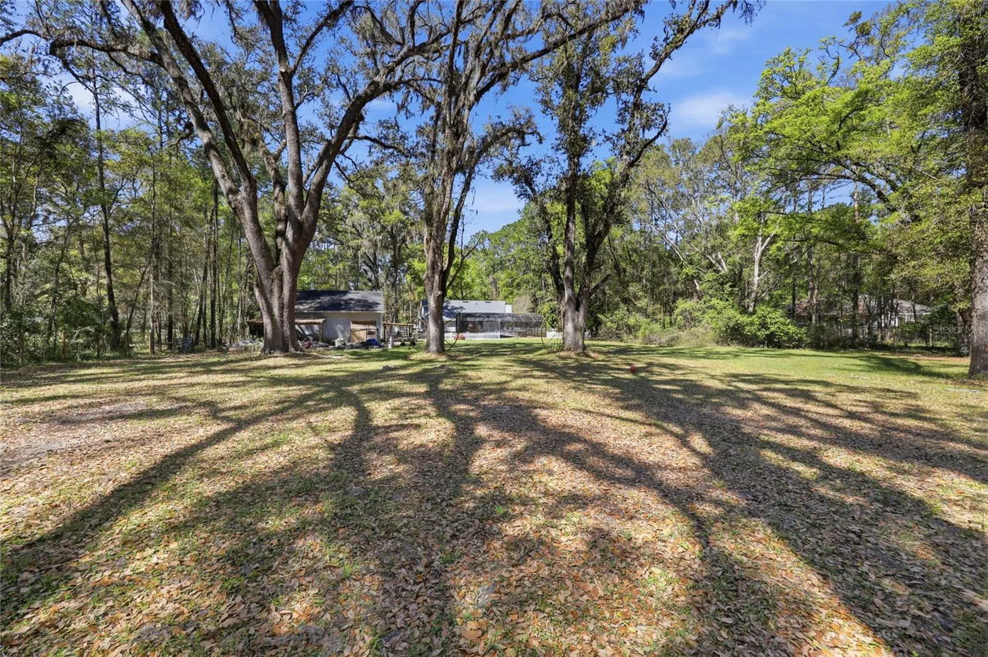 7615 NW 176th Street Alachua FL 32615