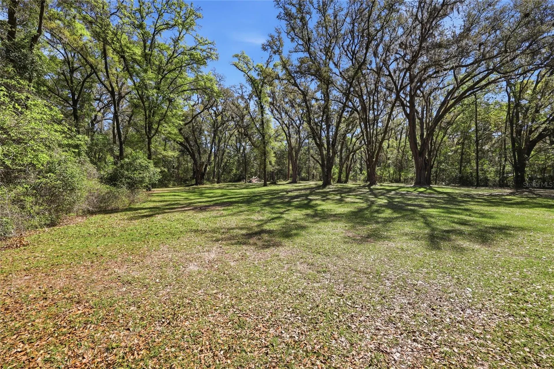 7615 NW 176th Street Alachua FL 32615