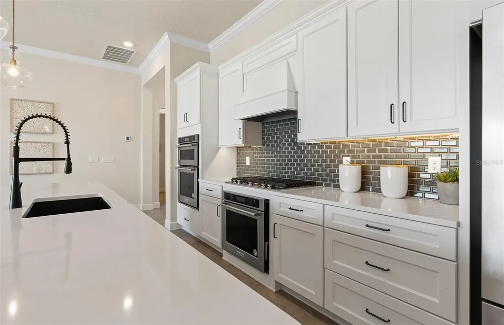 5149 Foothills Preserve Loop Mount Dora FL 32757