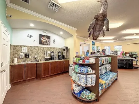 2307 Silver Palm Drive Kissimmee FL 34747
