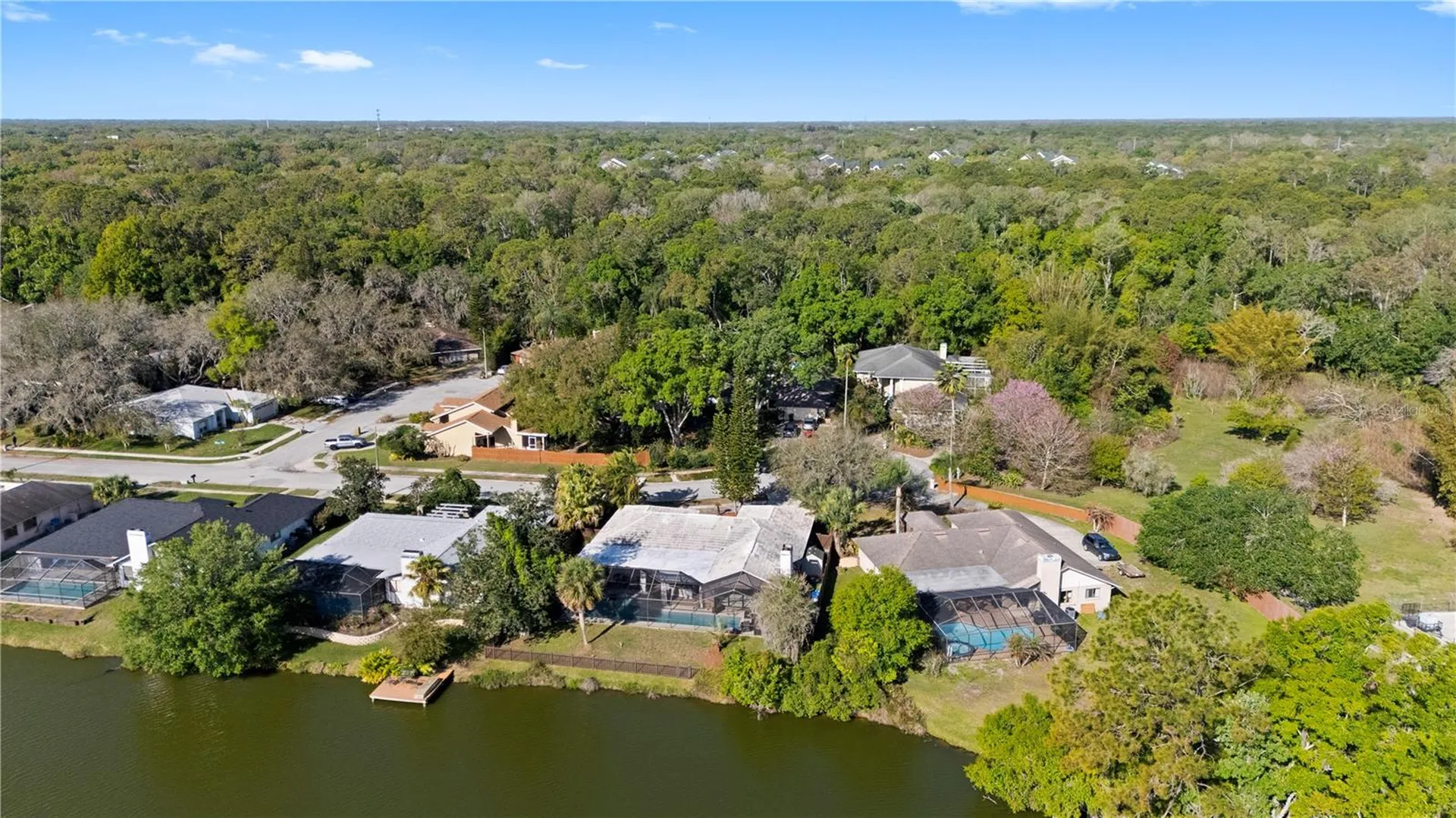 14947 Lake Forest Drive Lutz FL 33559