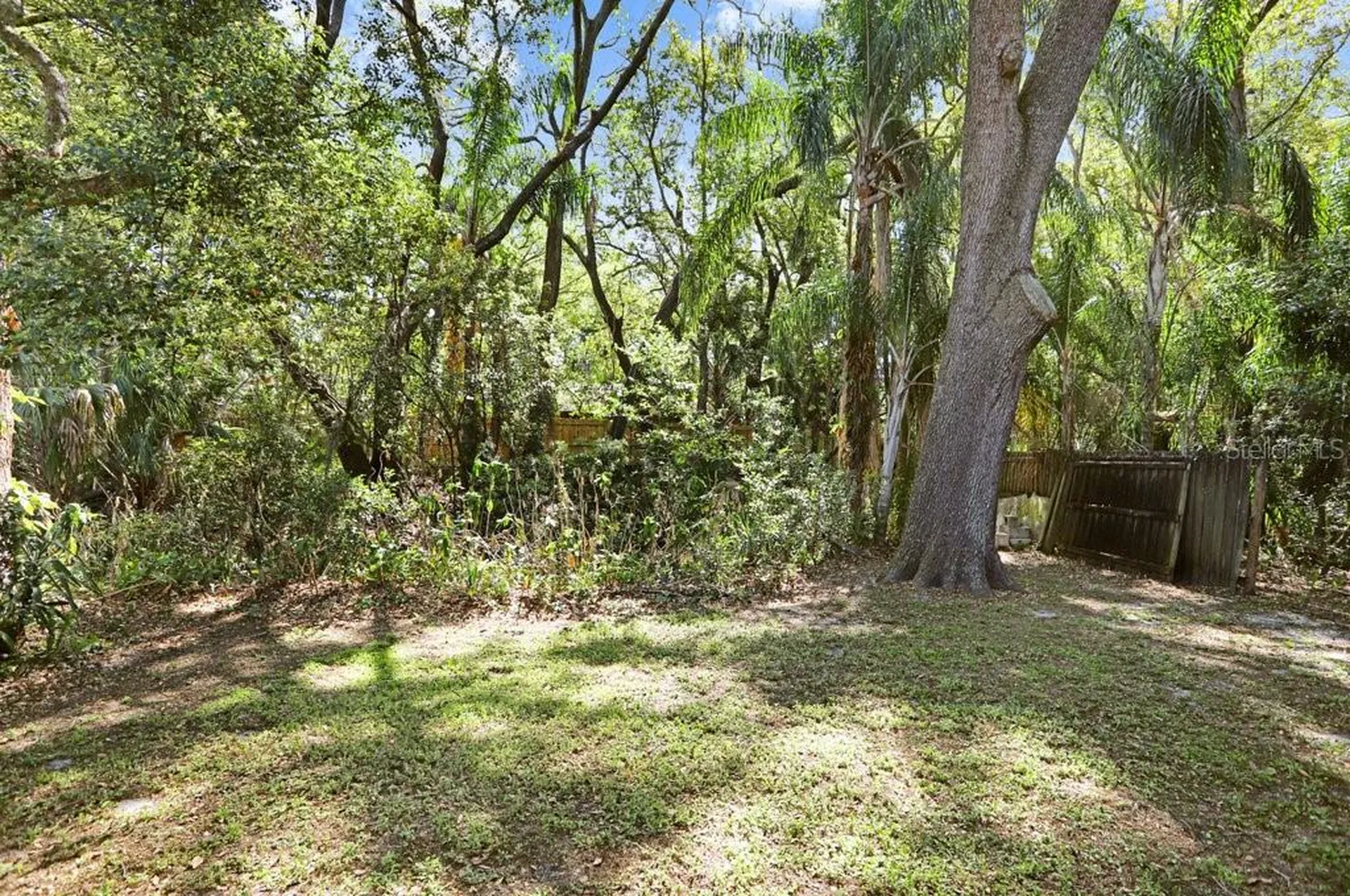 14931 Old Pointe Road Tampa FL 33613