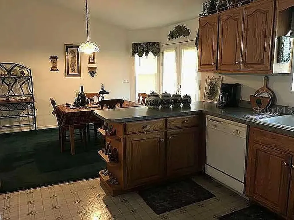 363 SW Monroe Avenue Mayo FL 32066