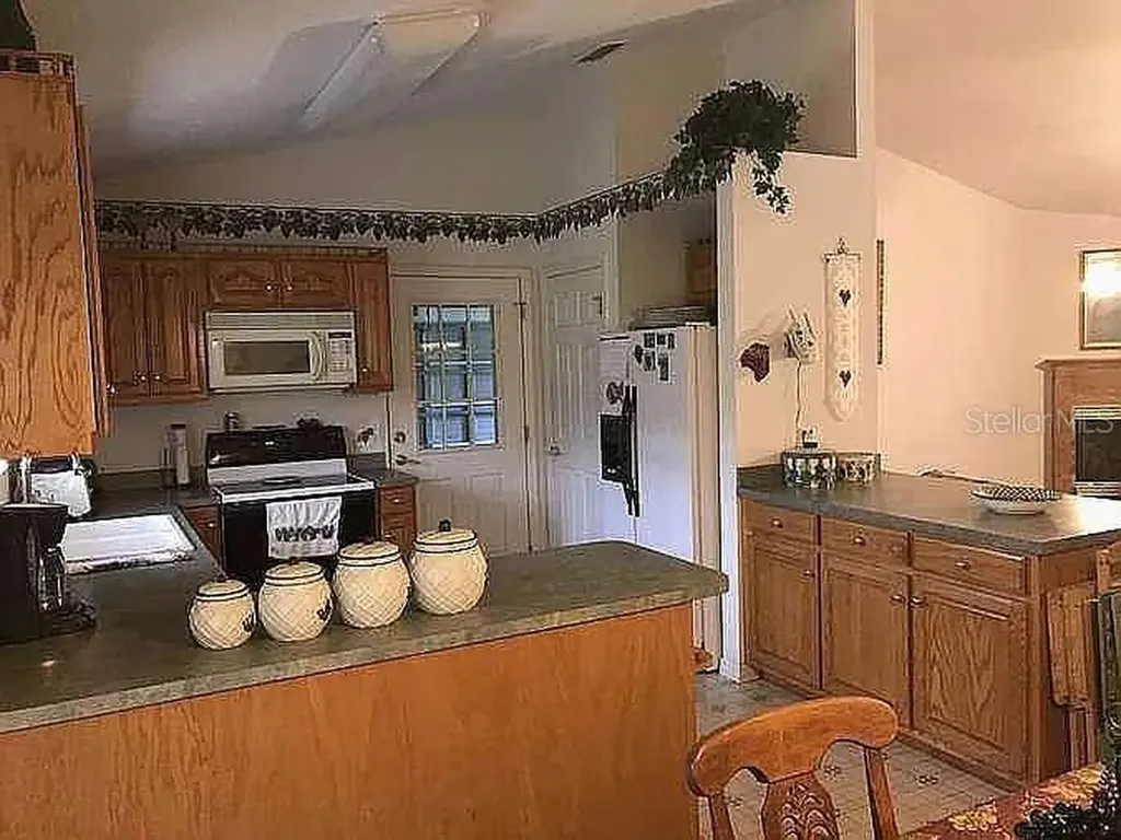 363 SW Monroe Avenue Mayo FL 32066