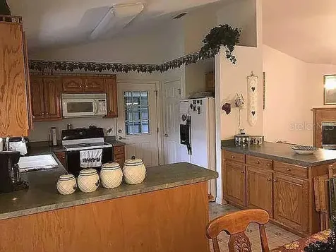 363 SW Monroe Avenue Mayo FL 32066