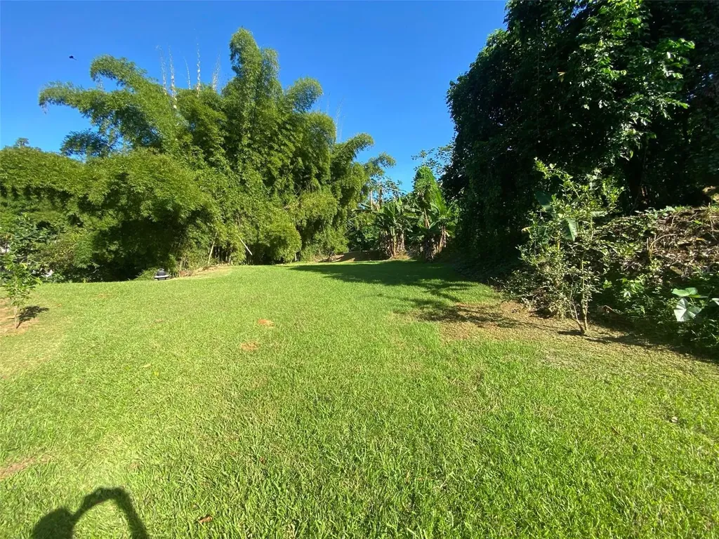 Carr. 108, Camino Adelina Bo. Río Cañas Mayaguez PR 00680