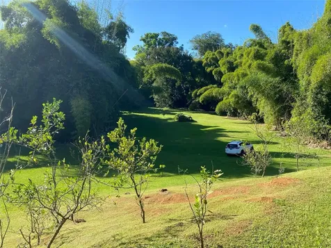Carr. 108, Camino Adelina Bo. Río Cañas Mayaguez PR 00680