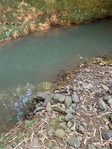 Carr. 108, Camino Adelina Bo. Río Cañas Mayaguez PR 00680