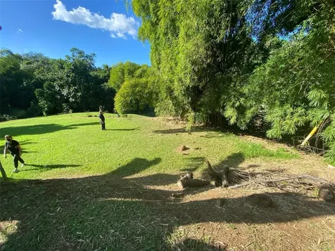 Carr. 108, Camino Adelina Bo. Río Cañas Mayaguez PR 00680