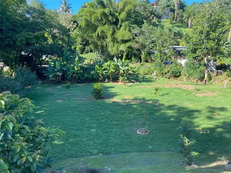 Carr. 108, Camino Adelina Bo. Río Cañas Mayaguez PR 00680