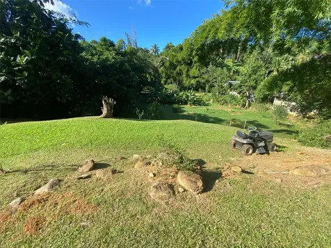 Carr. 108, Camino Adelina Bo. Río Cañas Mayaguez PR 00680