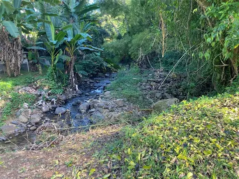 Carr. 108, Camino Adelina Bo. Río Cañas Mayaguez PR 00680