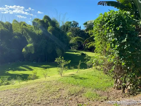 Carr. 108, Camino Adelina Bo. Río Cañas Mayaguez PR 00680