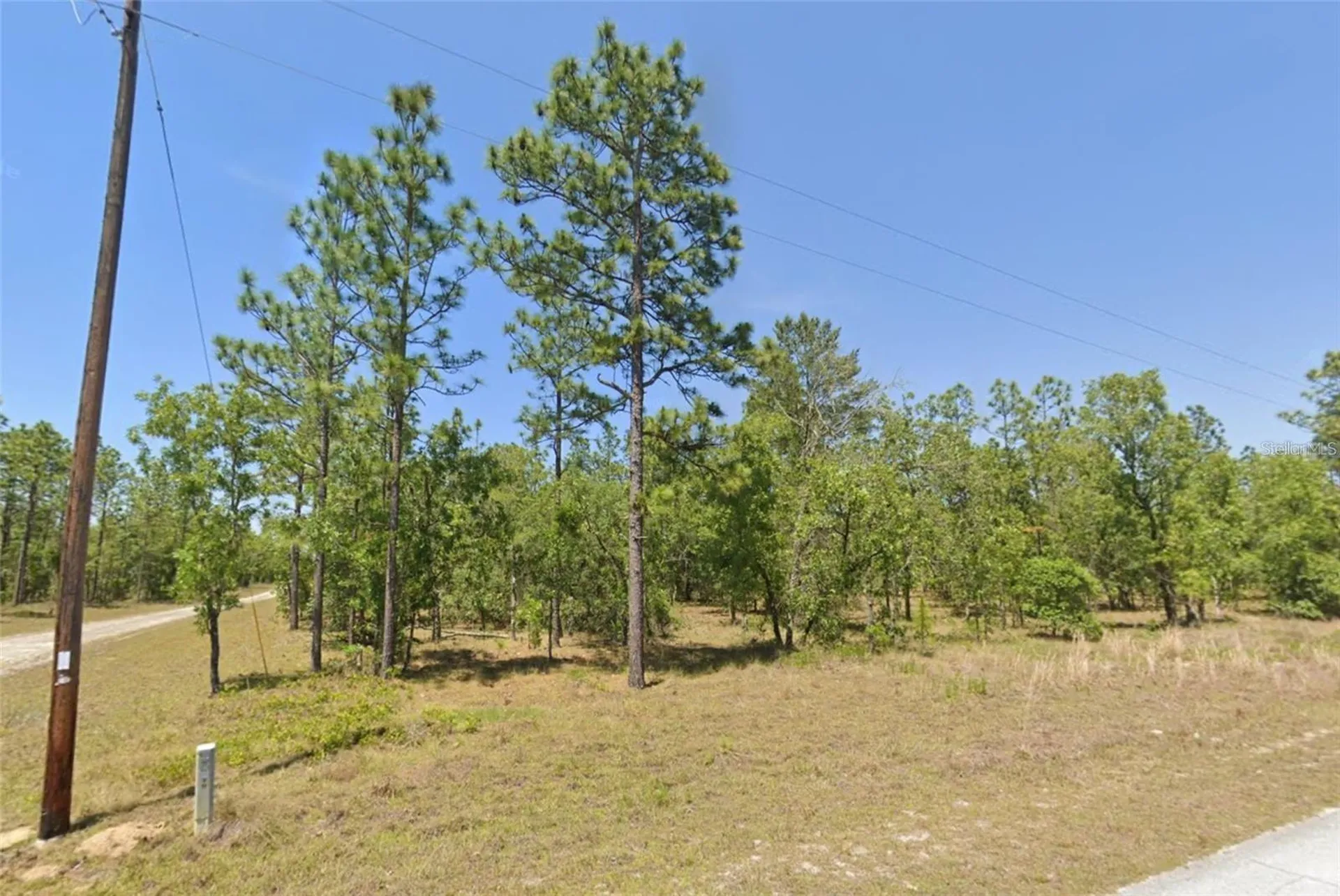 Lot 31 SE 133rd Dunnellon FL 34431