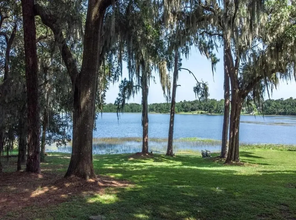 Tbd Lot 01000 Silver Drive Umatilla FL 32784