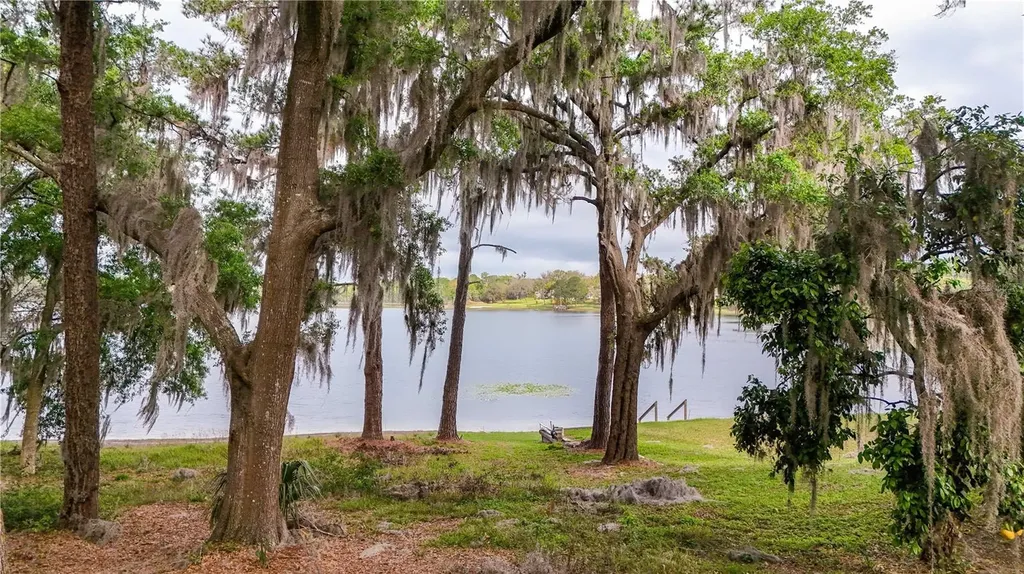 Tbd Lot 01000 Silver Drive Umatilla FL 32784