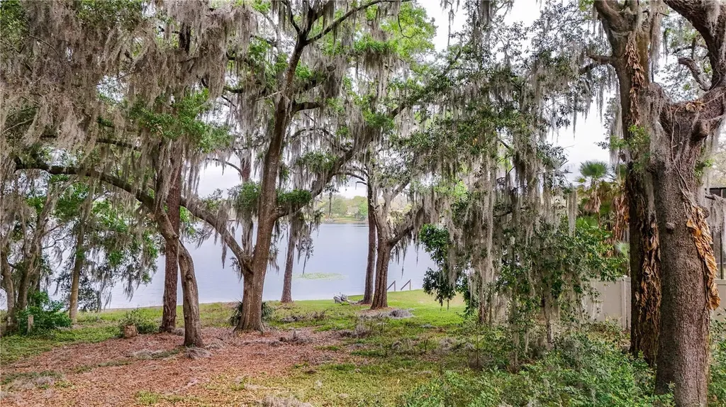 Tbd Lot 01000 Silver Drive Umatilla FL 32784