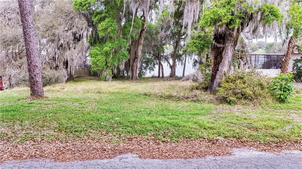 Tbd Lot 01000 Silver Drive Umatilla FL 32784
