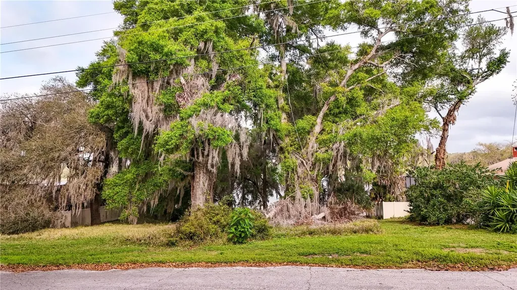 Tbd Lot 01000 Silver Drive Umatilla FL 32784