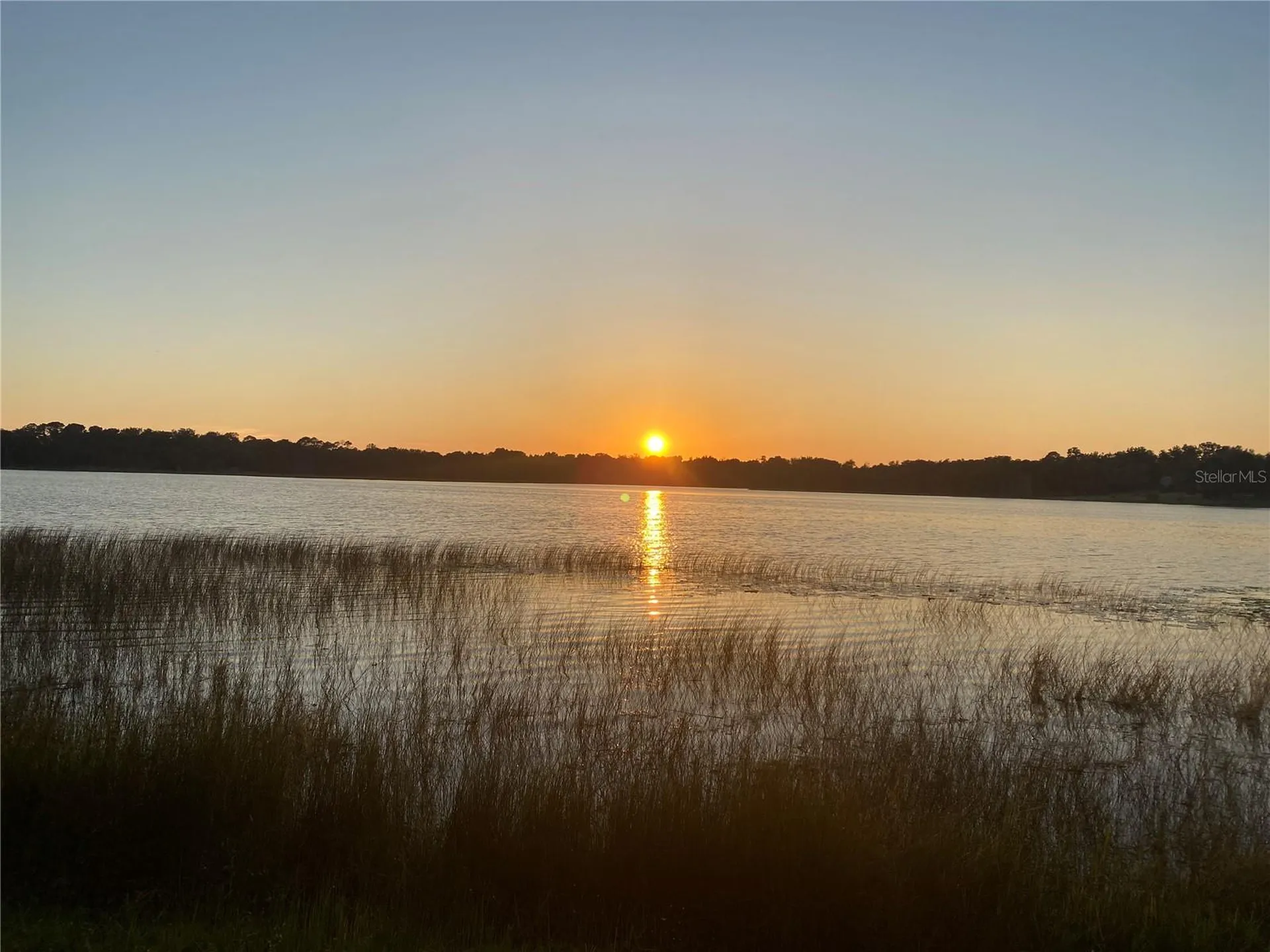 Tbd Lot 01000 Silver Drive Umatilla FL 32784