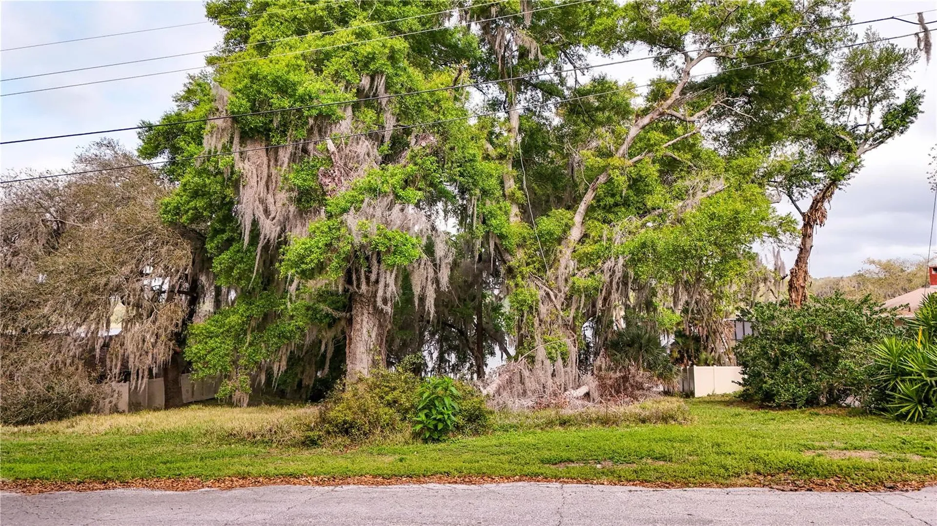 Tbd Lot 01000 Silver Drive Umatilla FL 32784