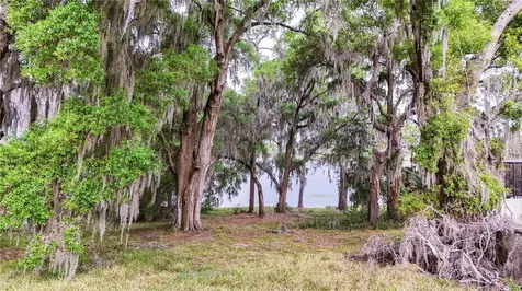 Tbd Lot 01000 Silver Drive Umatilla FL 32784