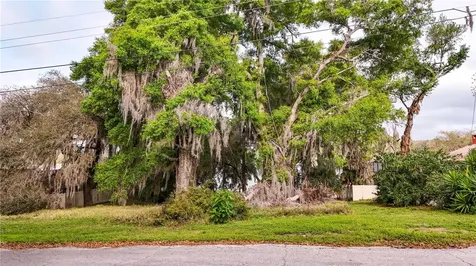 Tbd Lot 01000 Silver Drive Umatilla FL 32784