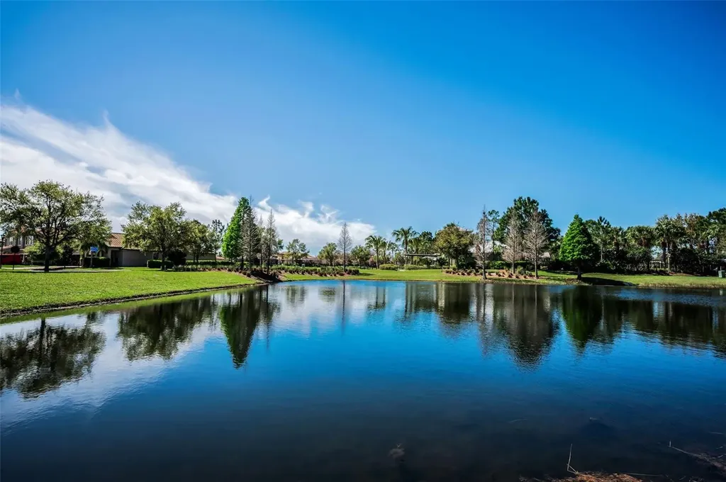 11891 Frost Aster Drive Riverview FL 33579