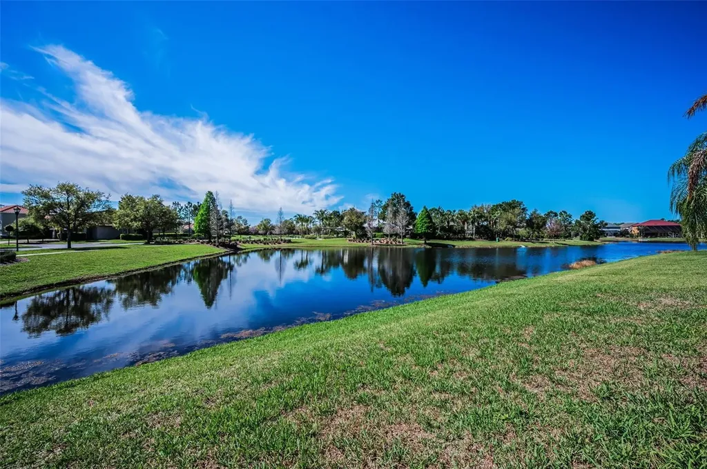 11891 Frost Aster Drive Riverview FL 33579